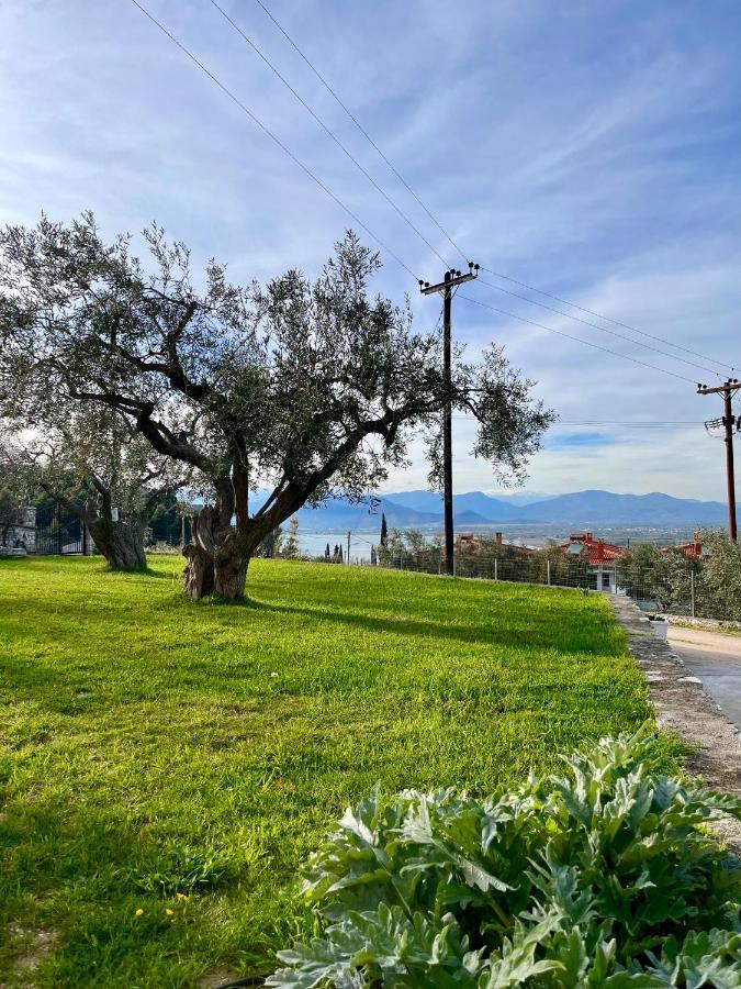 Ενtree Guest House Near Palamidi Castle Ναύπλιο Εξωτερικό φωτογραφία
